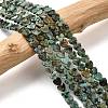 Natural African Turquoise(Jasper) Beads Strands G-A272-A01-25-2