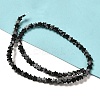 Natural Snowflake Obsidian Beads Strands G-G085-B37-02-2