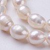 Natural Cultured Freshwater Pearl Beads Strands PEAR-P002-55-01-3