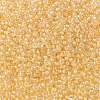 MIYUKI Round Rocailles Beads X-SEED-G008-RR0282-3
