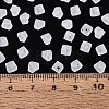 FGB Frosted Transparent Glass Seed Beads SEED-N013-03A-01-4
