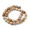Natural Fossil Coral Beads Strands G-C038-02T-7