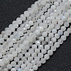 Natural Rainbow Moonstone Beads Strands LS-G-E411-08-4mm-1