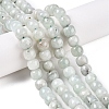 Dyed Natural White Jade Beads Strands G-T138-S20-1