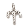Brass Micro Pave Cubic Zirconia Charms KK-E077-02P-08-2