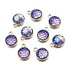 Alloy Resin Charms PALLOY-T056-24C-4