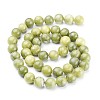 Natural Gemstone Beads GSR032-5