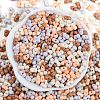 Glass Seed Beads SEED-K010-03B-3
