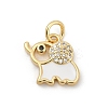 Brass Pave Cubic Zirconia with Enamel Pendants KK-U062-37G-02-1