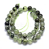Natural Prehnite Beads Strands G-K224-03-10mm-2
