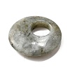 Natural Labradorite Pendants G-F524-H20-2