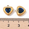 Ion Plating(IP) 304 Stainless Steel Micro Pave Cubic Zirconia Pendants STAS-S131-17G-02-3