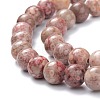 Natural Maifanite/Maifan Stone Beads Strands X-G-P451-01A-A-3