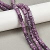 Natural Lepidolite/Purple Mica Stone Beads Strands G-F792-B01-1