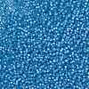 MIYUKI Round Rocailles Beads X-SEED-G008-RR0573-4