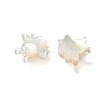 Natural White Shell Beads BSHE-Z008-06-3