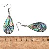 Teardrop Natural Paua Shell Dangle Earrings for Women EJEW-JE07135-5