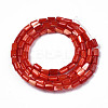 Natural Trochid Shell/Trochus Shell Beads Strands SHEL-N003-26-B03-2
