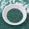 MIYUKI Delica Beads X-SEED-J020-DB0919-2