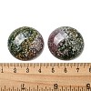 Natural Indian Agate Cabochons G-C115-02B-09-3