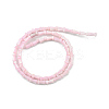 Natural Freshwater Shell Beads Strands SHEL-G013-02G-2