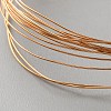 925 Sterling Silver Wire STER-WH0019-36B-G-1