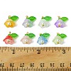 40Pcs Glass & Plastic Pendant PALLOY-FZ00012-6