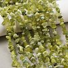 Natural Jade Chip Beads Strands X-G-B160-B02-1