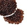 Transparent Colours Glass Seed Beads SEED-T007-16P-3