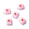Resin Cabochons LS-RESI-C008-01-1
