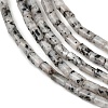 Natural Seame Jasper Beads Strands G-P600-B11-01-4