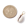 Natural Cowrie Shell Pendants PALLOY-JF02681-01-2
