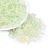 Picasso Transparent Glass Seed Beads SEED-N012-11G-1