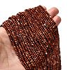 Natural Red Jasper Beads Strands G-RM2025-38-3mm-1