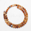 Natural Striped Agate/Banded Agate Bead Strands G-K166-13-6mm-02-3