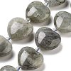 Natural Labradorite Beads Strands G-C150-A17-01-2