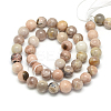 Natural Sun Stone Beads Strands G-S150-23-8mm-2