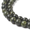 Natural Serpentine/Green Lace Stone Beads Strands X-G-S259-15-6mm-1-3