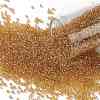 TOHO Round Seed Beads SEED-JPTR15-0103B-1