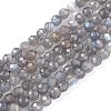 Natural Labradorite Beads Strands G-R475-025C-1