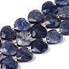 Natural Blue Aventurine Beads Strands G-P592-B09-01-2