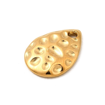 304 Stainless Steel Charms X1-STAS-Z157-15G-1