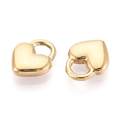304 Stainless Steel Charms STAS-N109-194G-1