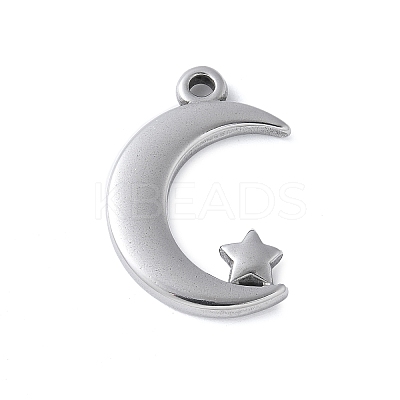 304 Stainless Steel Pendants STAS-E548-03P-1