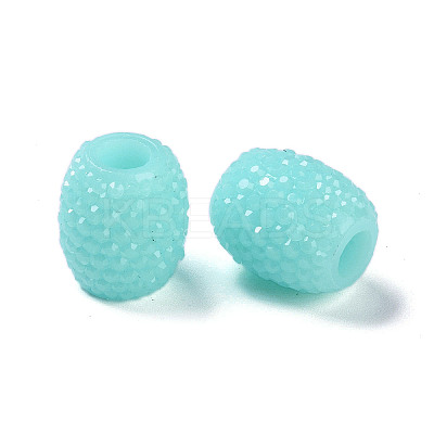 Opaque Resin European Jelly Colored Beads RESI-B025-02A-10-1