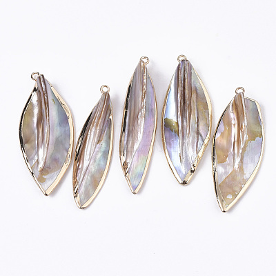 Natural Freshwater Shell Big Pendants SHEL-R048-09-1
