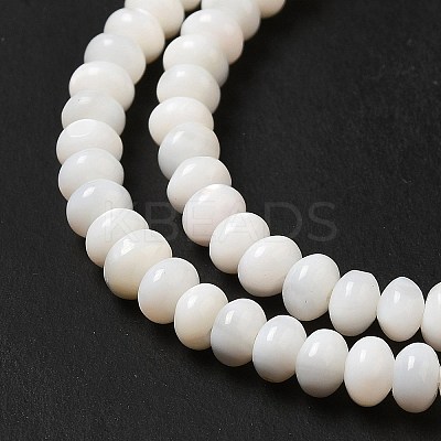 Natural Freshwater Shell Beads Strands BSHE-E026-15A-02-1