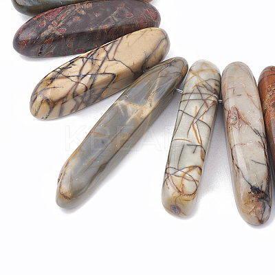 Natural Picasso Stone/Picasso Jasper Beads Strands G-S325-004-1