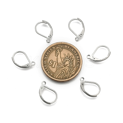 Tarnish Resistant 304 Stainless Steel Leverback Earring Findings STAS-E007-3-1