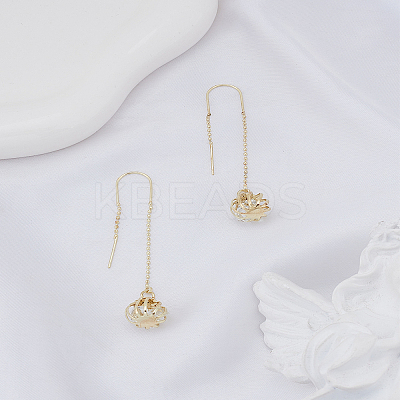 1 Pair Round Zinc Alloy Cat Eye Ear Thread EJEW-LP0009-10-1
